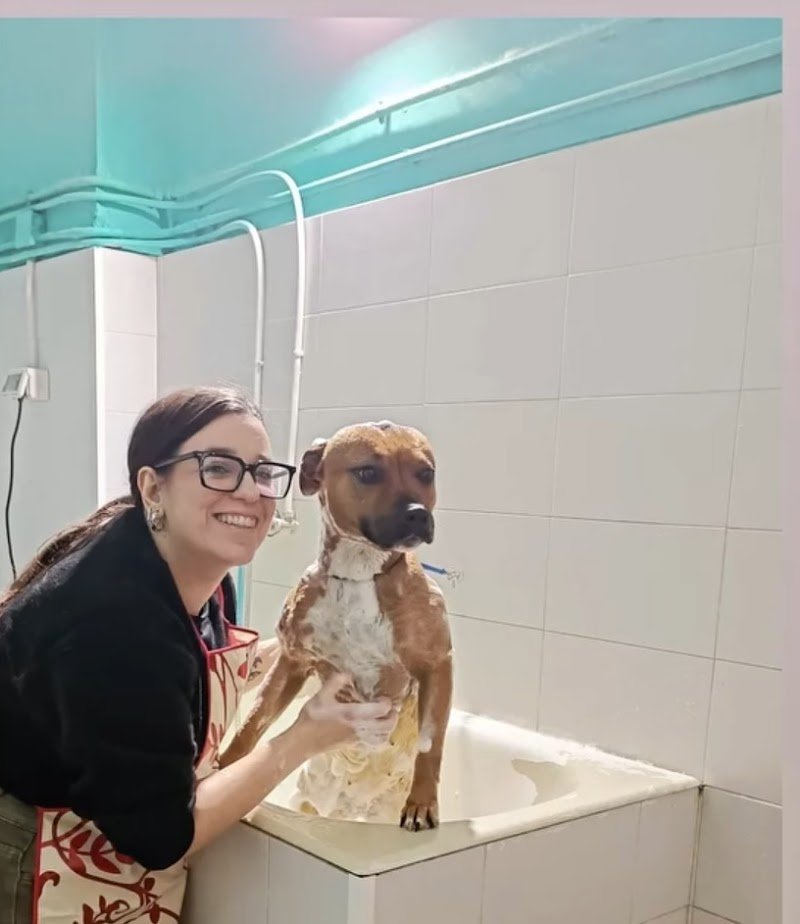 Per un Pelo! - Foto 6