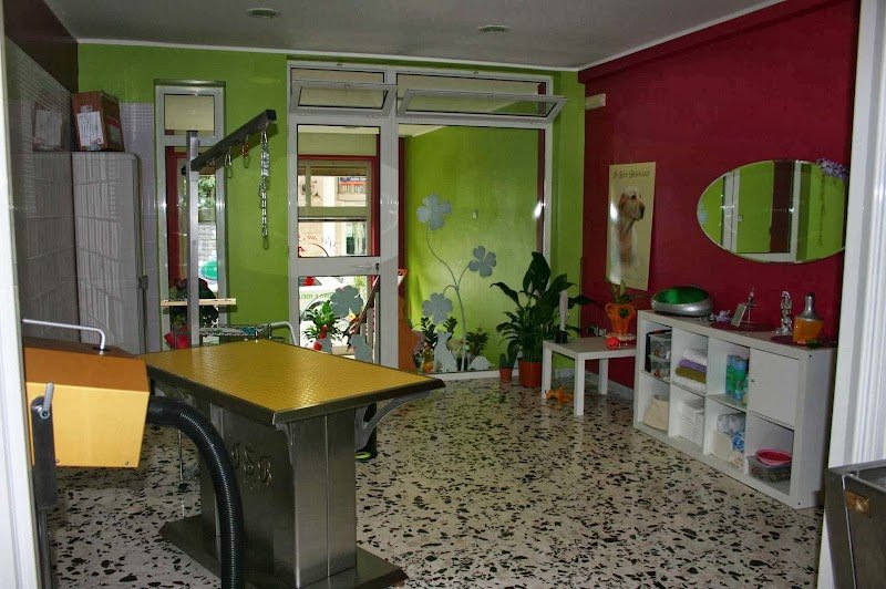 Per un pelo - toelettatura per animali da compagnia - Foto 2