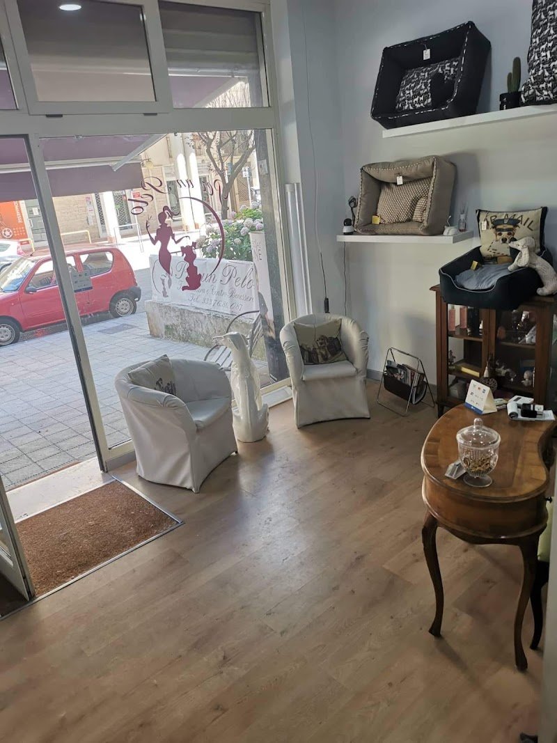 Per un pelo - toelettatura per animali da compagnia - Foto 4