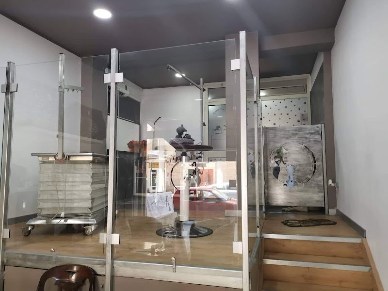 Per un pelo - toelettatura per animali da compagnia - Foto 5