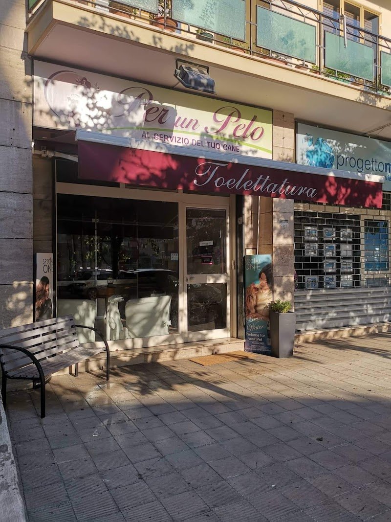 Per un pelo - toelettatura per animali da compagnia - Foto 6