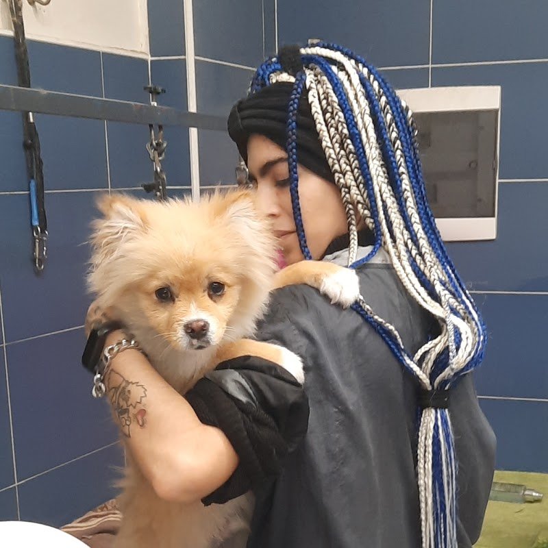 Per un pelo - Toelettatura - Pet Shop a Bisceglie - Foto 4