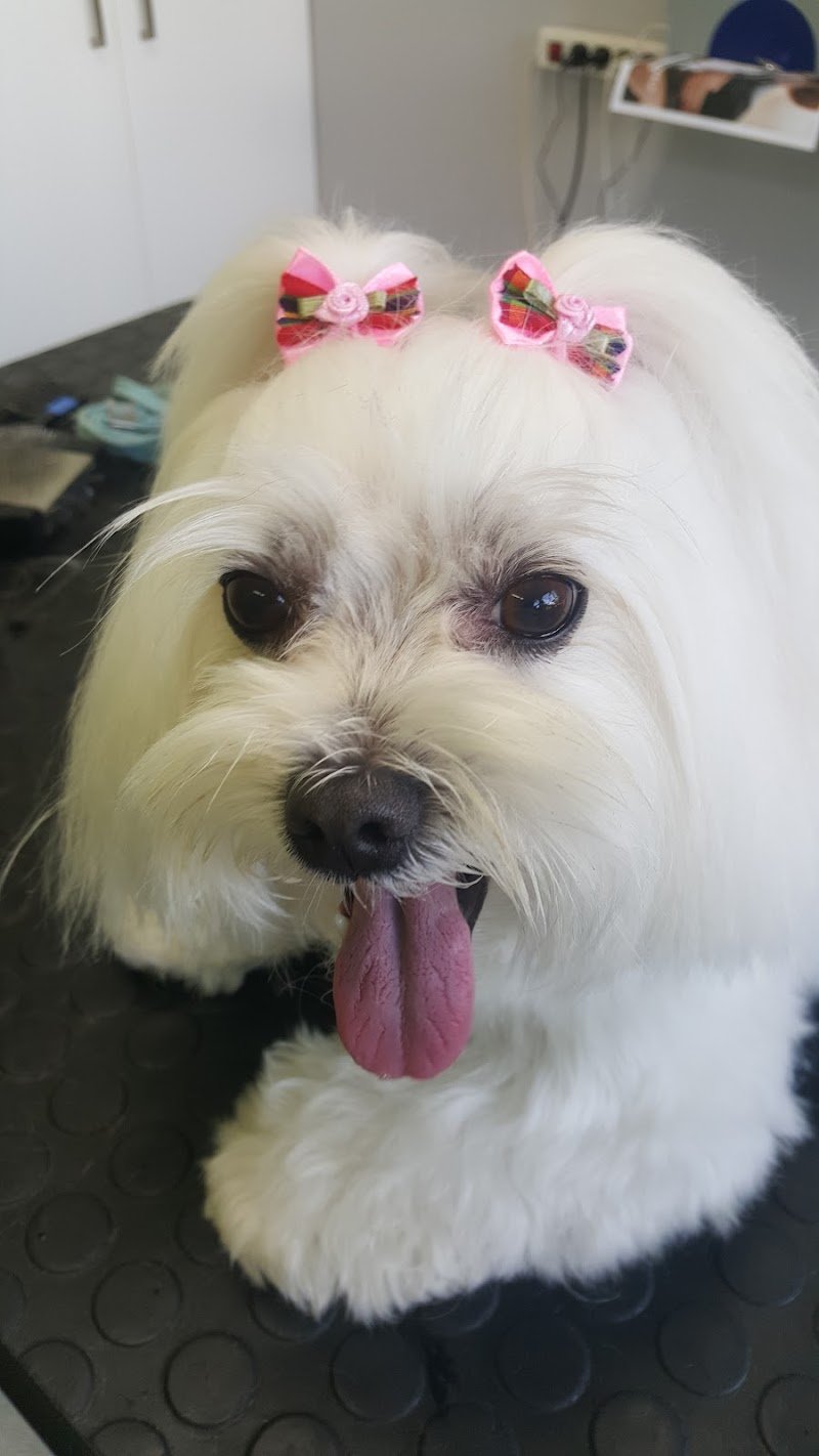 PERUNPELO di Marta Fornasa - Foto 1