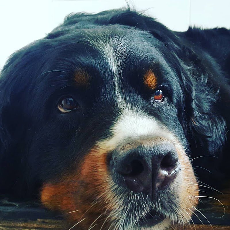 PERUNPELO di Marta Fornasa - Foto 2