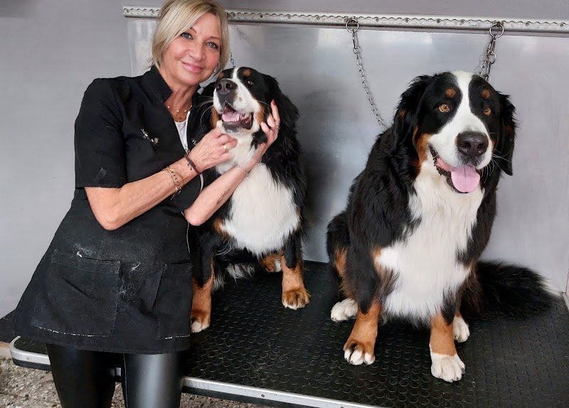 PERUNPELO di Marta Fornasa - Foto 3