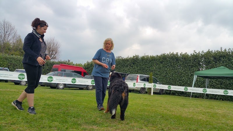 PERUNPELO di Marta Fornasa - Foto 4