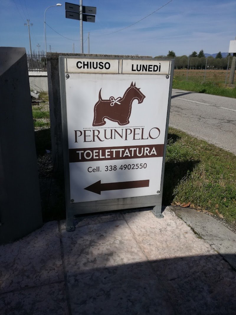 PERUNPELO di Marta Fornasa - Foto 5