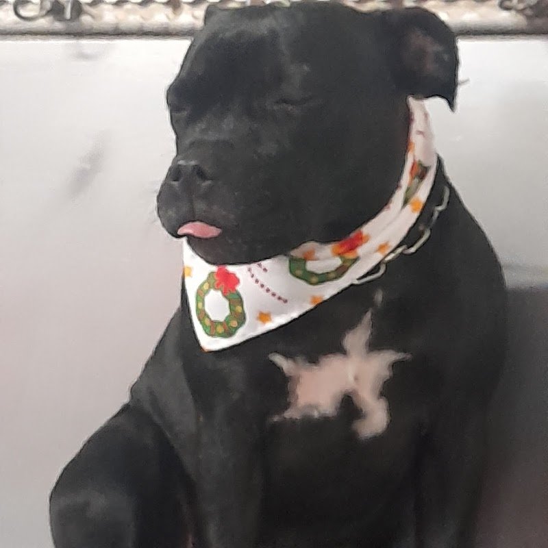 PERUNPELO di Marta Fornasa - Foto 6