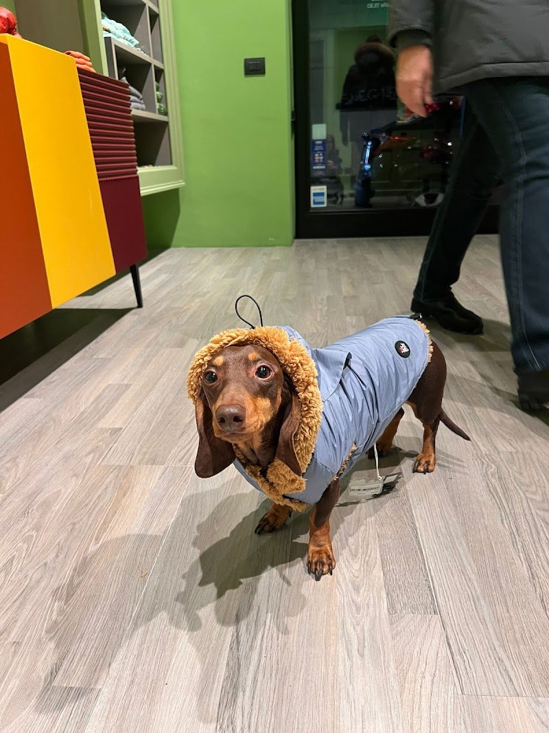 Pet à Porter - Foto 4