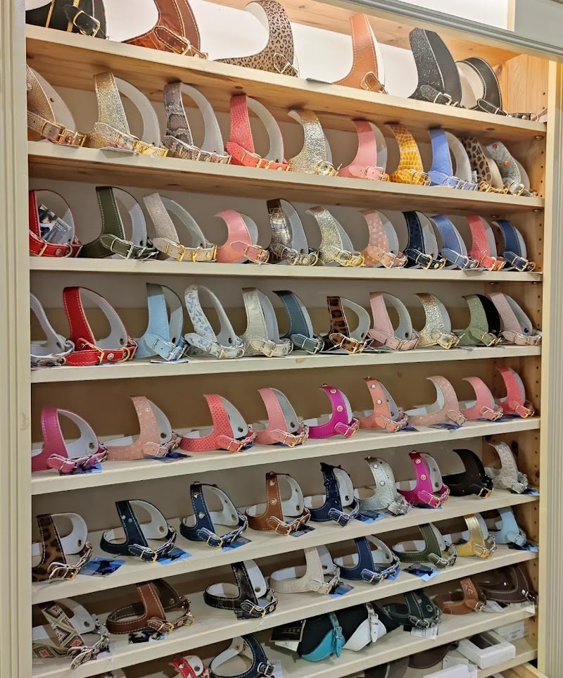 Pet à Porter & Pet à Porter Beauty di Laura Bianchi - Foto 4