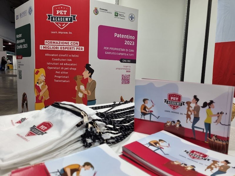 Pet Academy - Foto 2