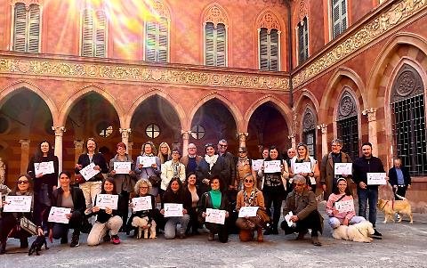 Pet Academy - Foto 4