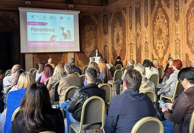 Pet Academy - Foto 5