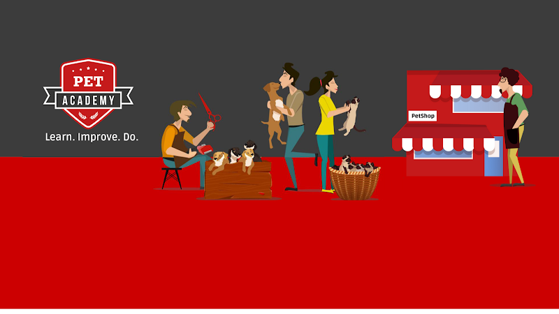 Pet Academy - Foto 6