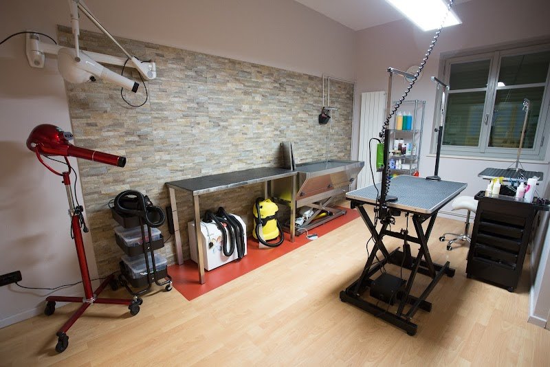 Pet Box Toelettatura - Foto 1