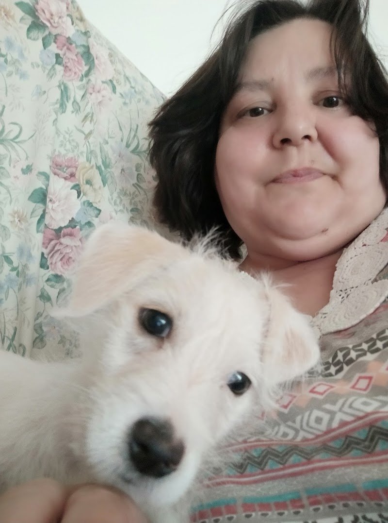 Pet Care Spa Livorno - Foto 5