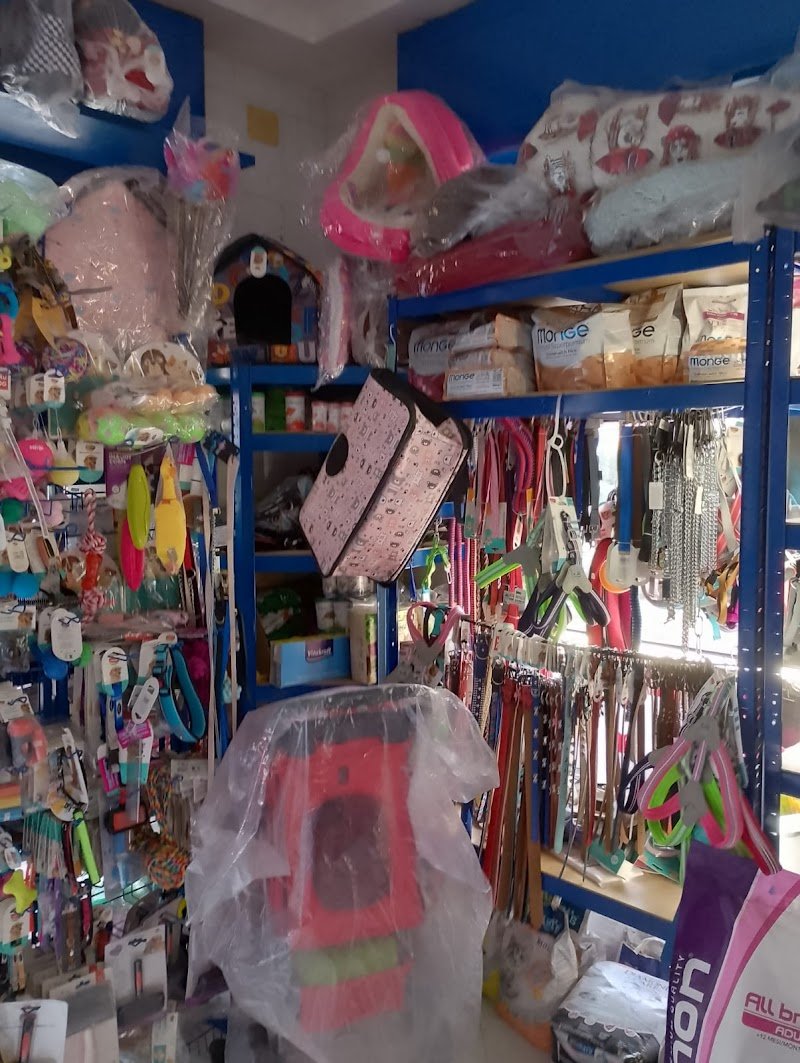 Pet Center - Foto 2
