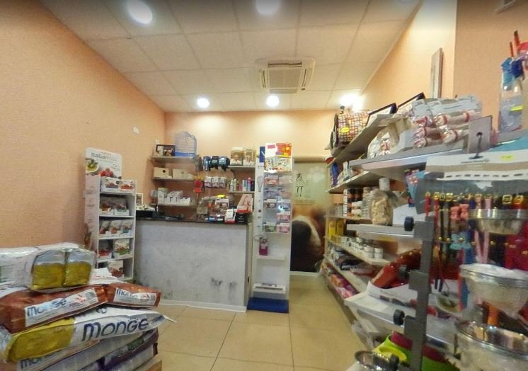 Pet Couture - Foto 1