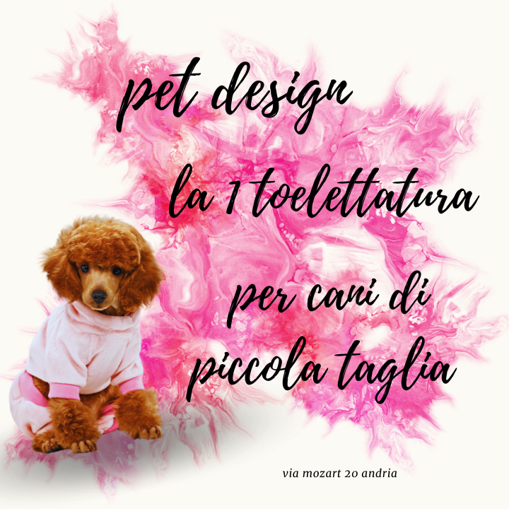 Pet Design - Foto 1