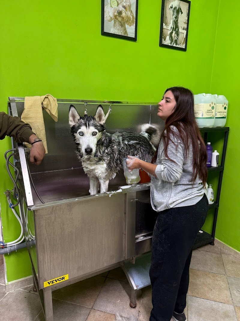 Pet Design Toelettatura - Foto 2