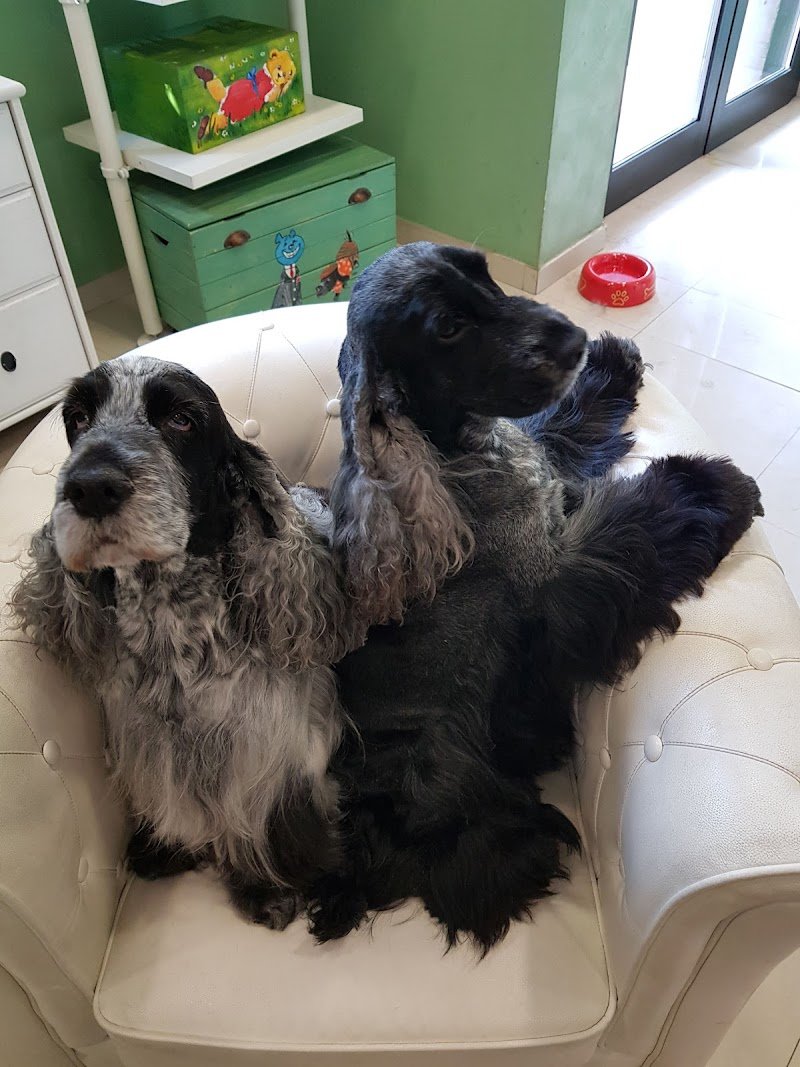 Pet Farm Del Ducato - Foto 1