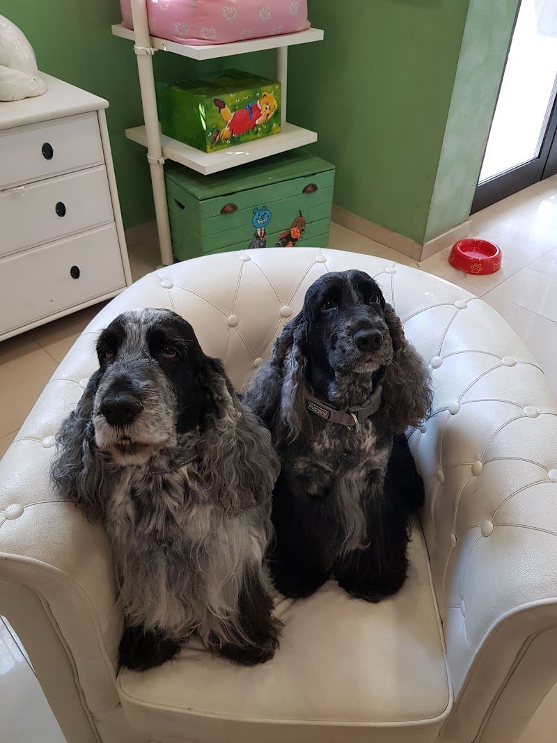 Pet Farm Del Ducato - Foto 2