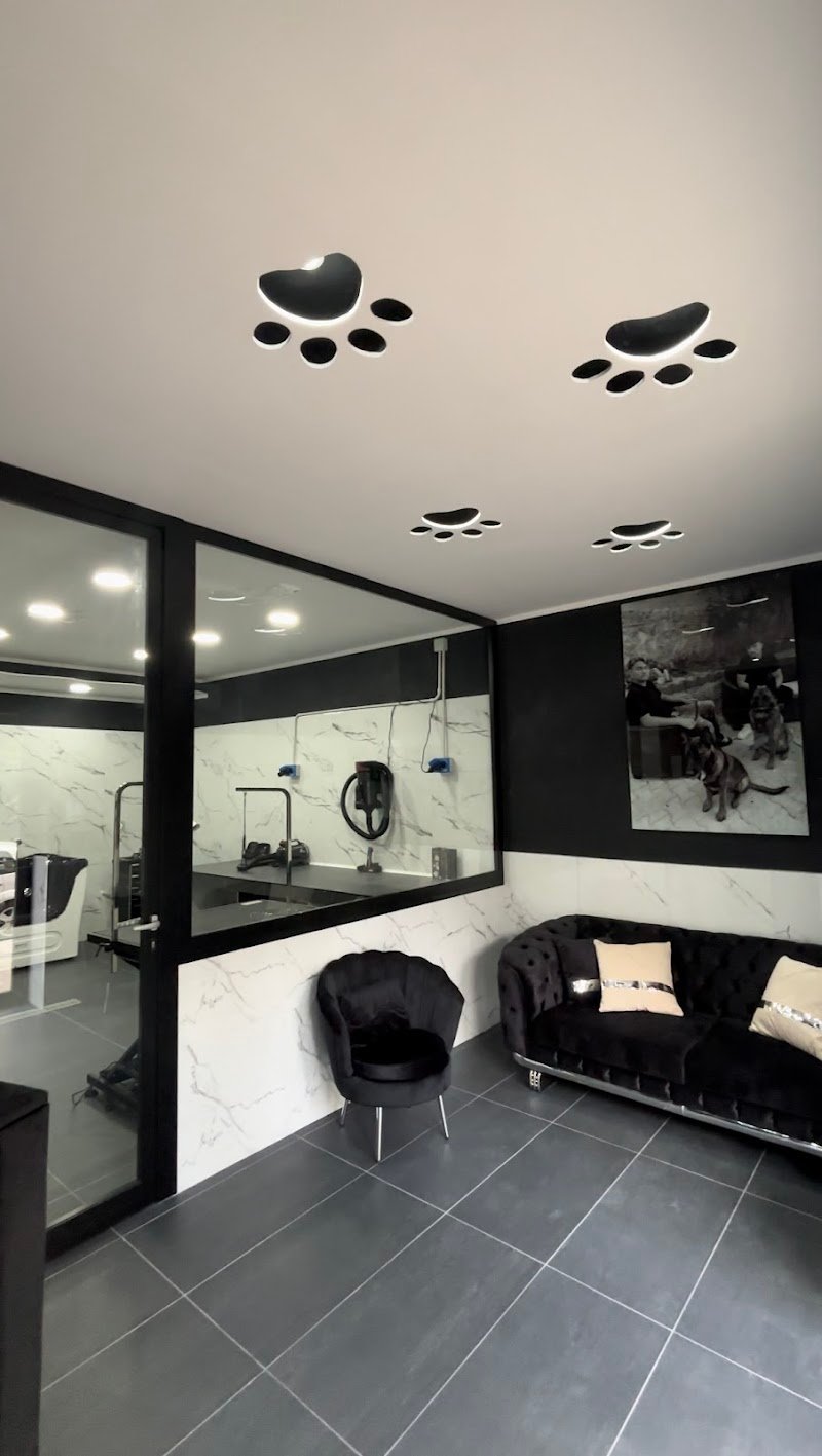 Pet Fashion - Foto 1