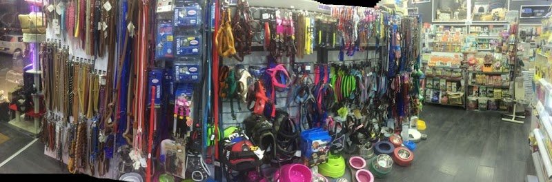 PET FASHION STORE S.R.L.S. - Foto 2