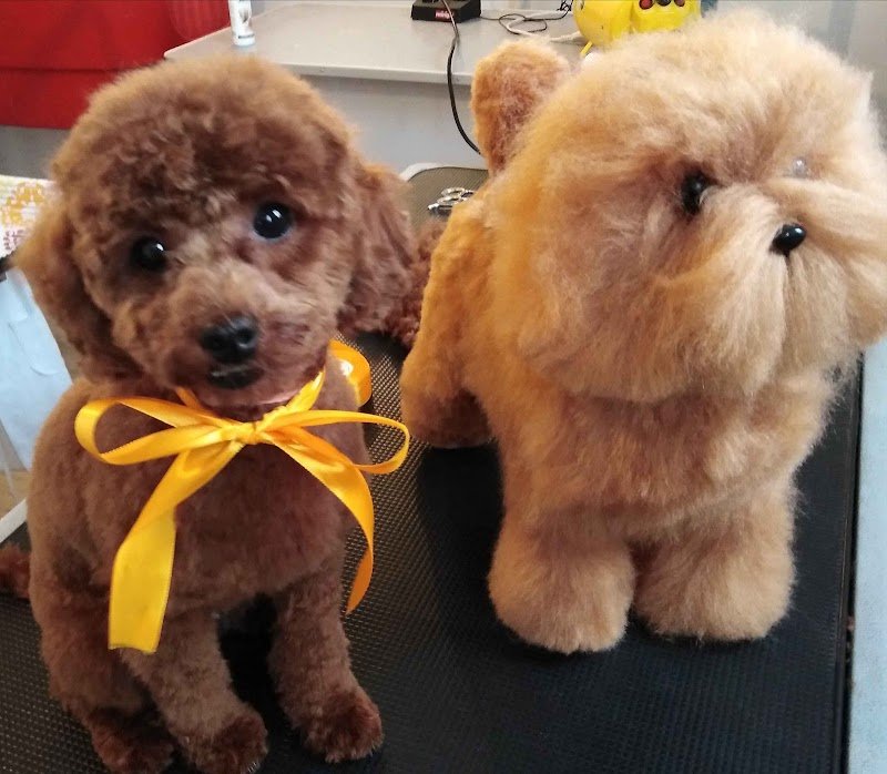 Pet grooming.. Punto casa - Foto 2