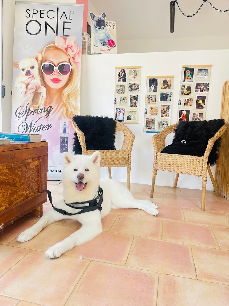 Pet lovers center - Foto 3