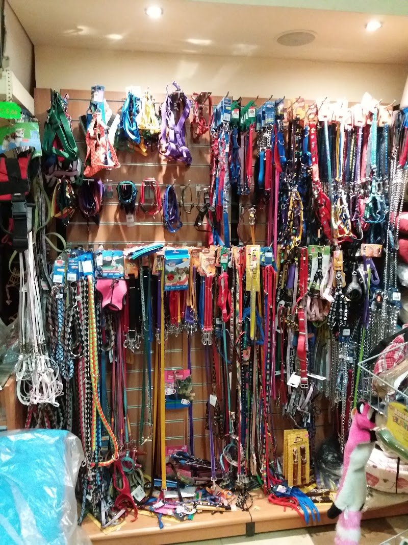 Pet Mania - Articoli per animali e pesca - Foto 3