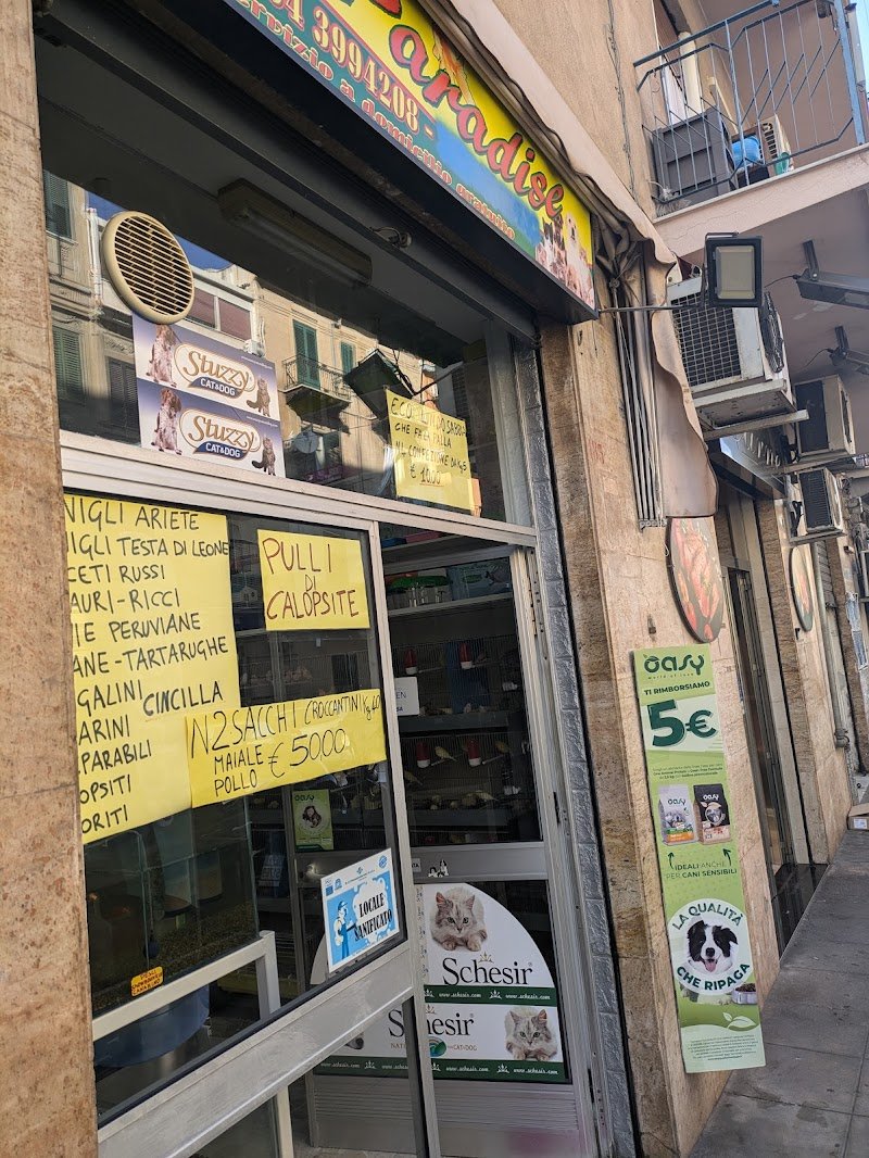 Pet Paradise - Foto 2