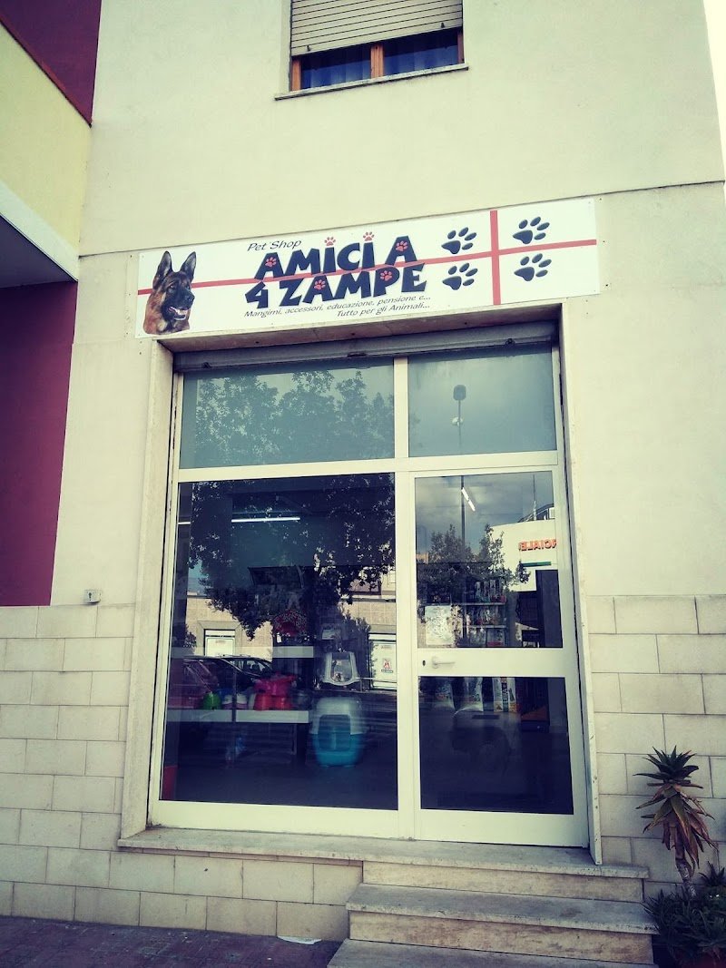 Pet Shop Amici a 4 Zampe - Foto 1