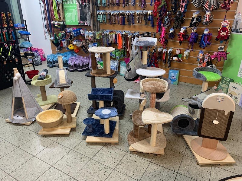 Pet Shop Amici a 4 Zampe - Foto 2