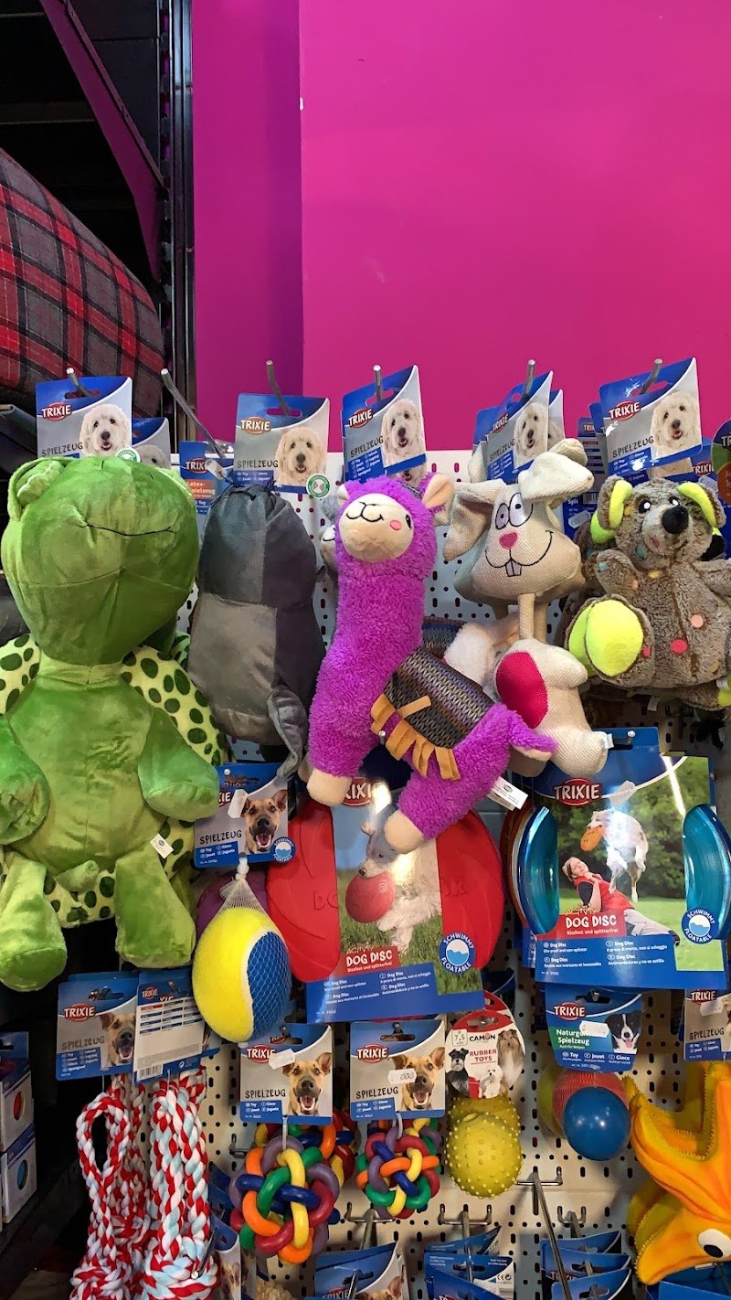 Pet Shop La Casa di Jack - Foto 4