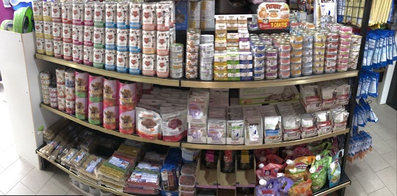 Pet Shop La Casa di Jack - Foto 6