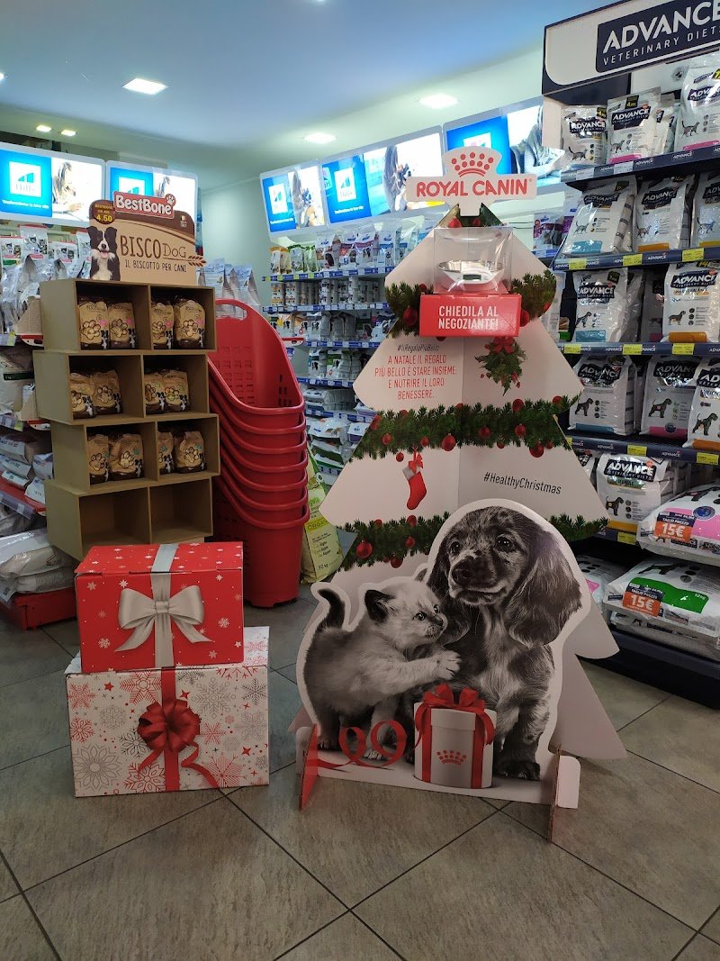 Pet Shop - La Fauna - Foto 2