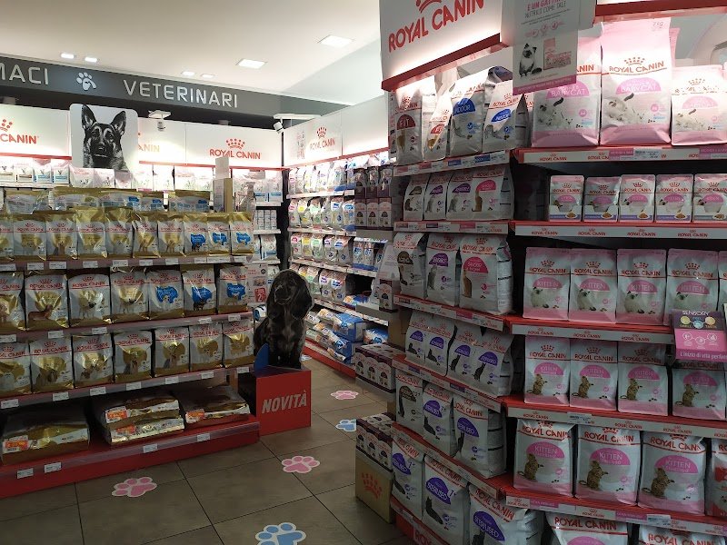 Pet Shop - La Fauna - Foto 4