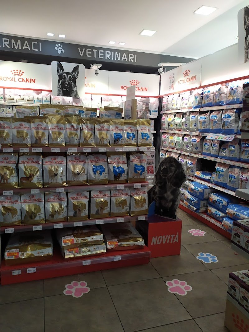 Pet Shop - La Fauna - Foto 6