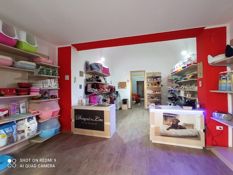 Pet Shop Tom e Jerry di Ilenia Teresi - Foto 1