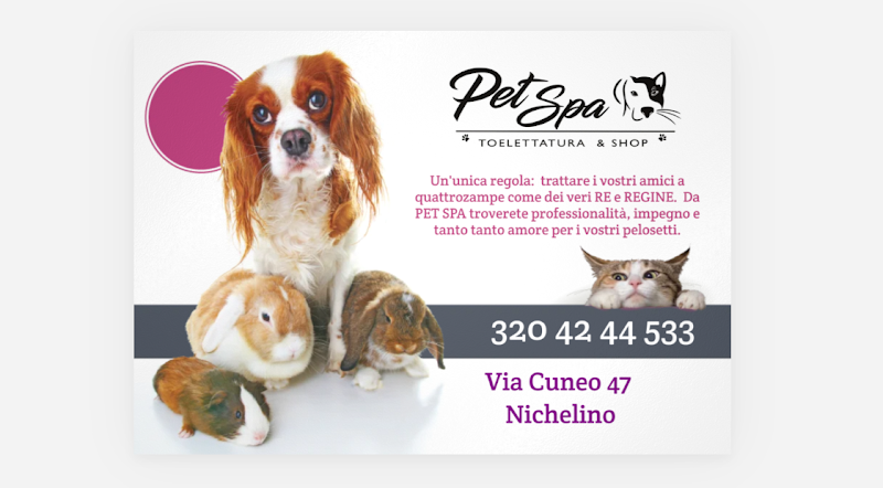 Pet Spa - Foto 1