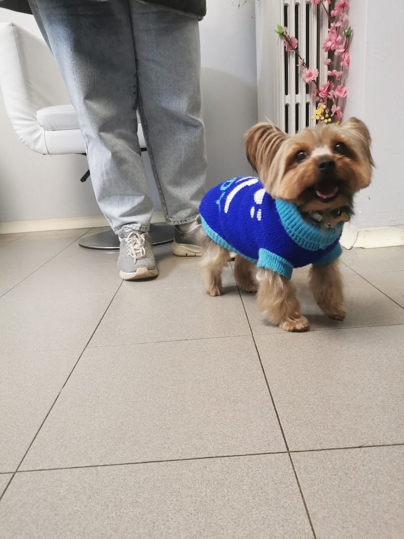 Pet Spa Sofia - Foto 5