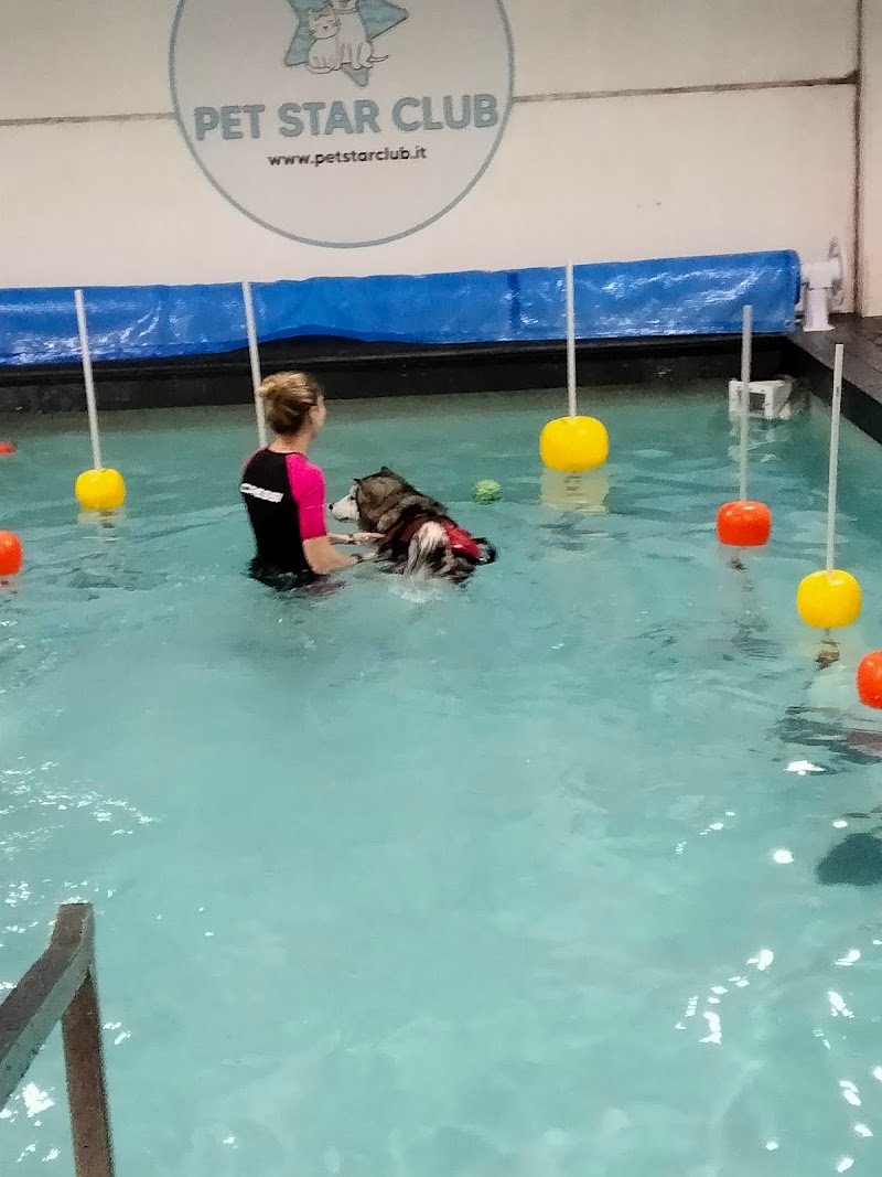 Pet Star Club - Foto 2