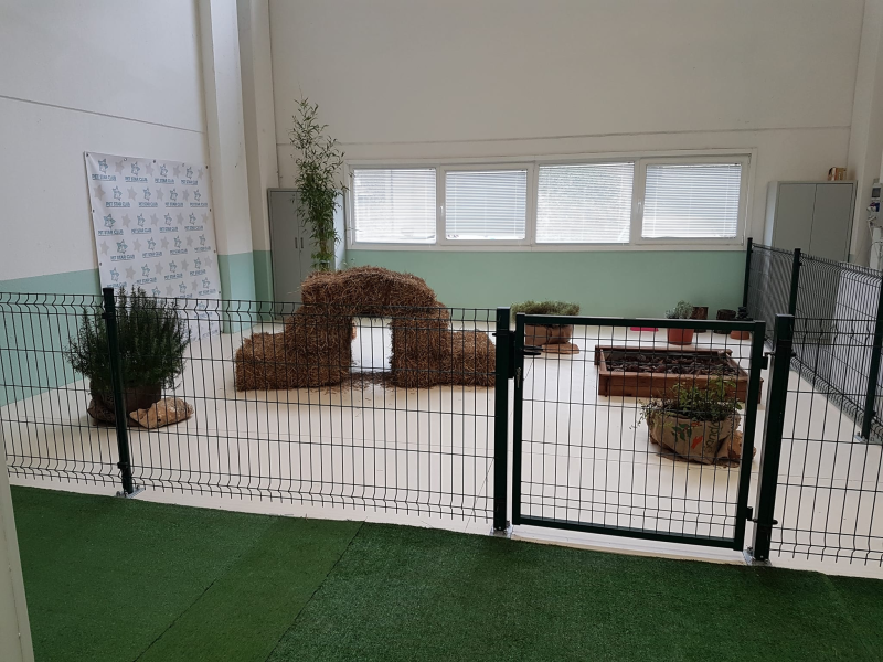 Pet Star Club - Foto 4