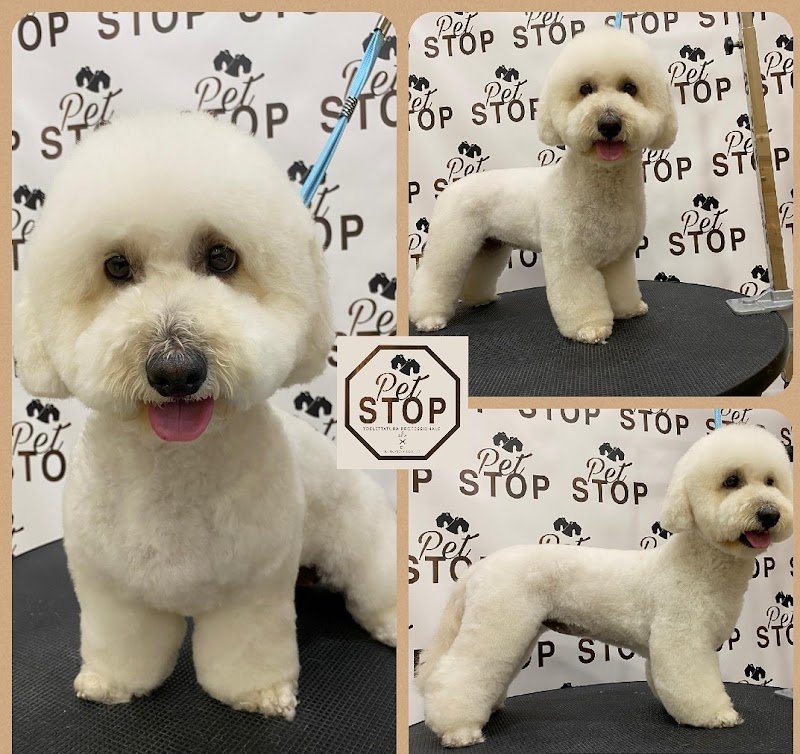 Pet Stop Toelettatura - Foto 2