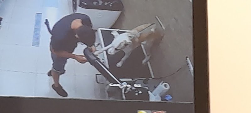 Pet Stop Toelettatura - Foto 3