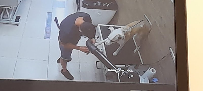 Pet Stop Toelettatura - Foto 6