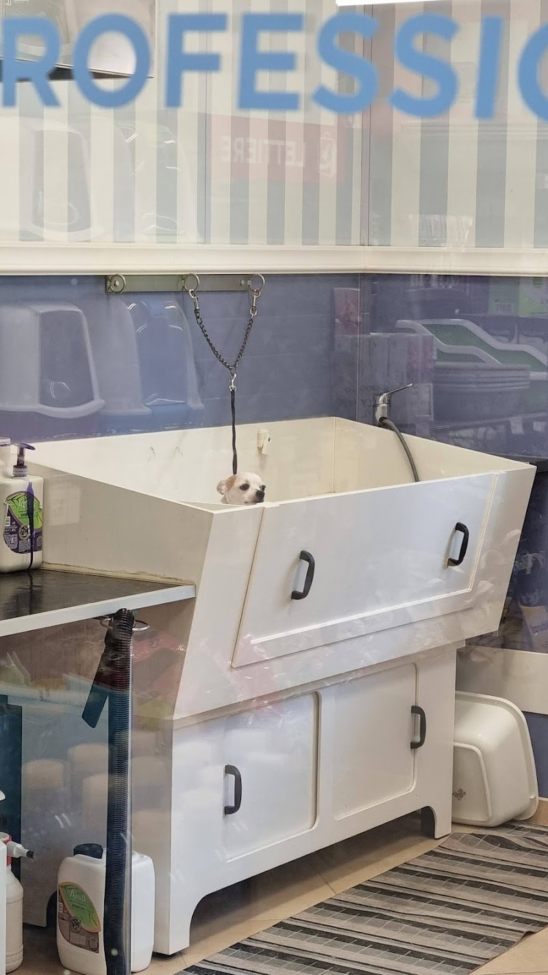 PET STORE CONAD - Foto 3