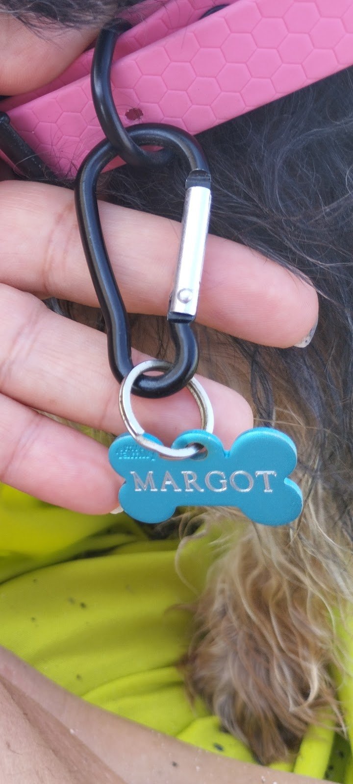 PET STORE CONAD - Foto 4