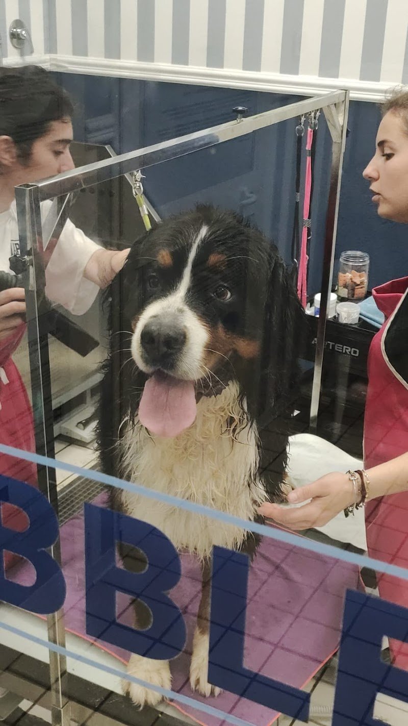 PET STORE CONAD - Foto 2